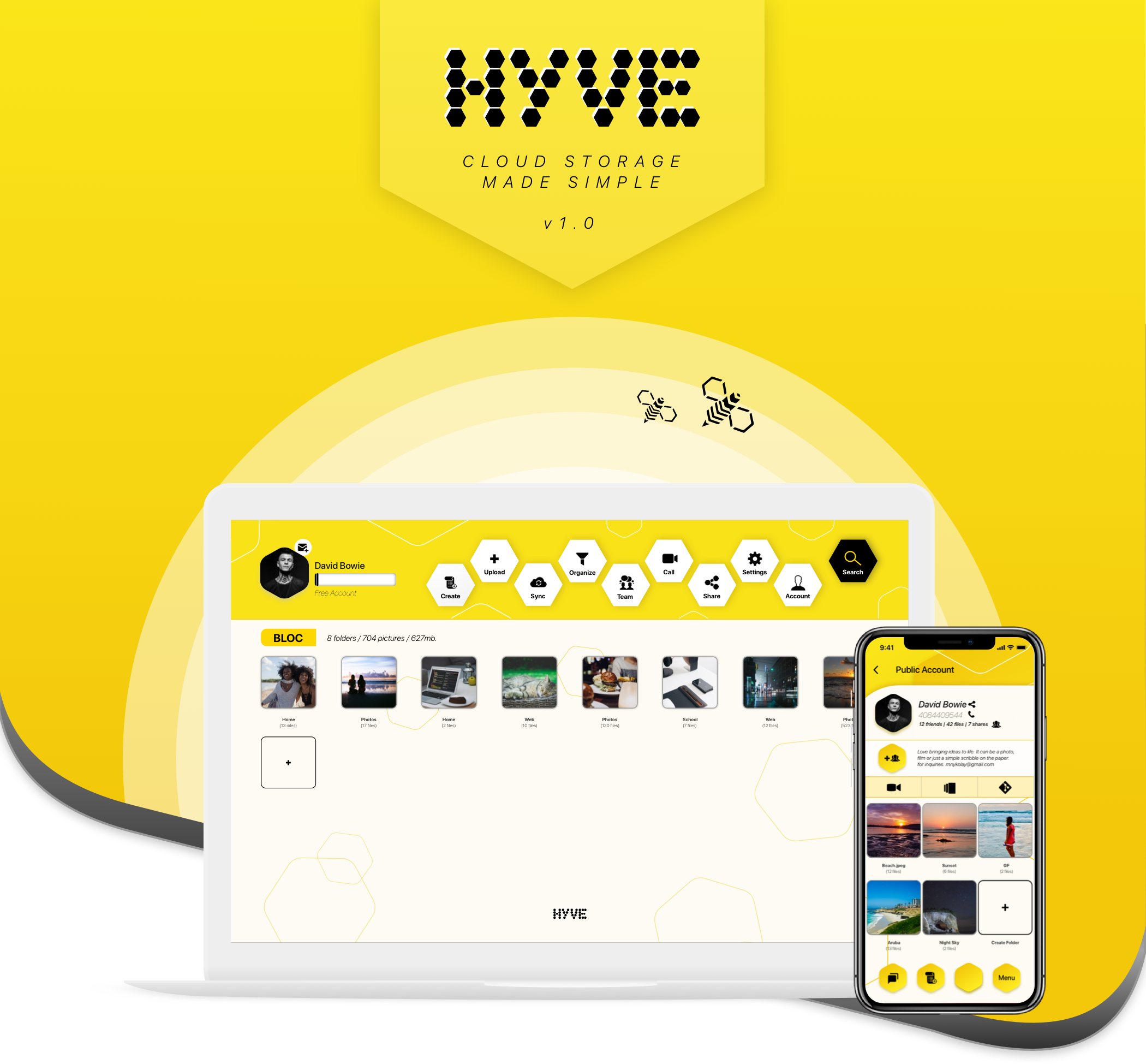 Hyve